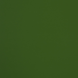 8796_水藻綠