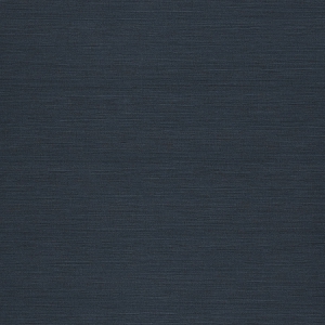 CR9524_靛藍原絲
