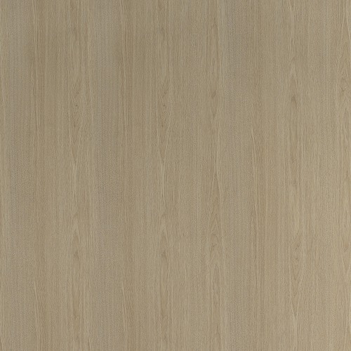 0369_北美橡木(山)