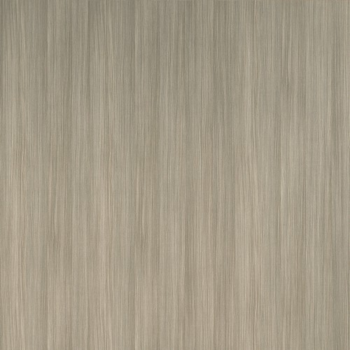 0861_橄欖紅豆杉(直)