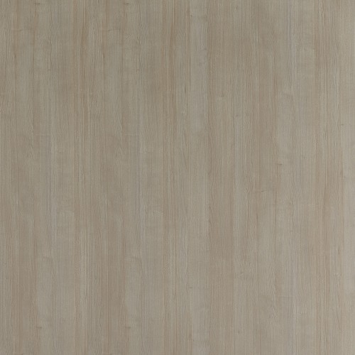 0870_曙光櫻桃木(山)