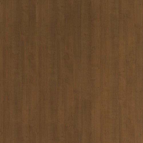 0874_榛果櫻桃木(山)