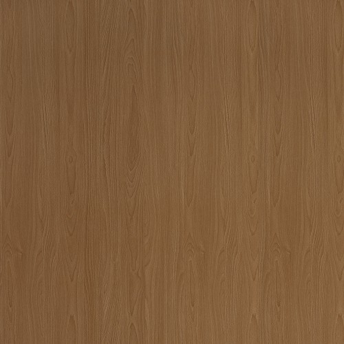 2567_紅山毛櫸(山)