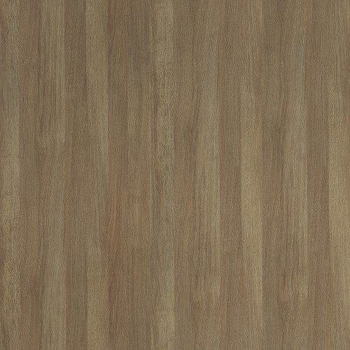 5478_沙丘橡木(山)