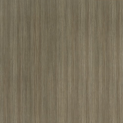 5483_摩卡冷杉(直)