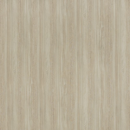 6404_金黃榆木(山)