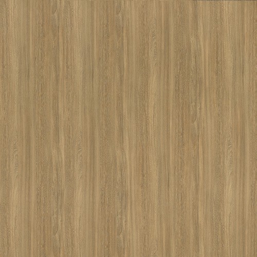 6407_蜜糖榆木(山)