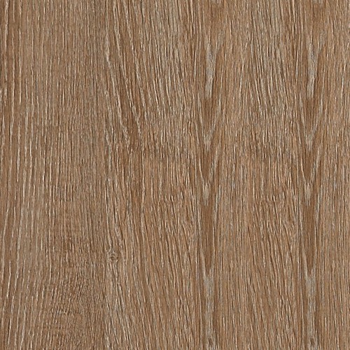 8853_園野橡木(山)