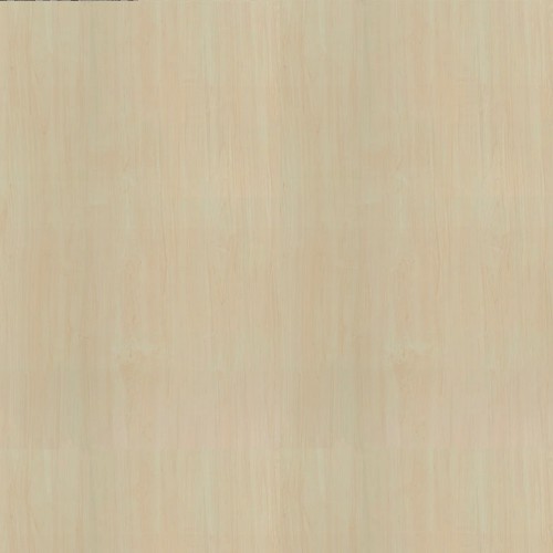 8905_輕和楓木(山)