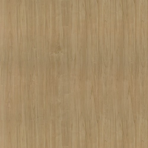 8906_丹麥楓木(山)