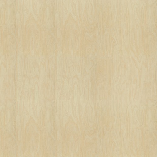 8910_原色樺木(山)