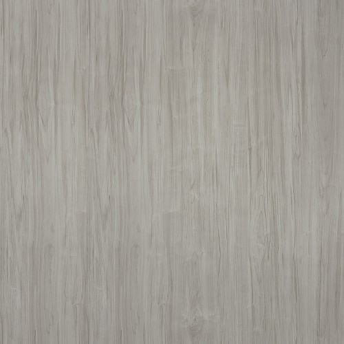 9222_灰白楓木(山)