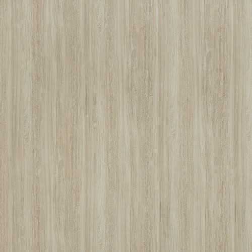 CR6404_金黃榆木(山)