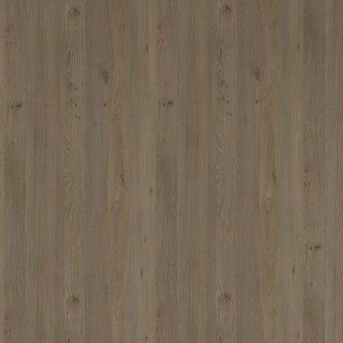 CR6439_沙點梣木(山)