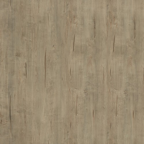 CR6441_水滌楓木(山)