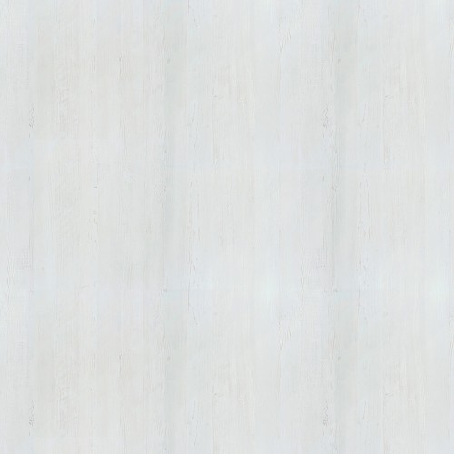 CR8902_白漆木(山)