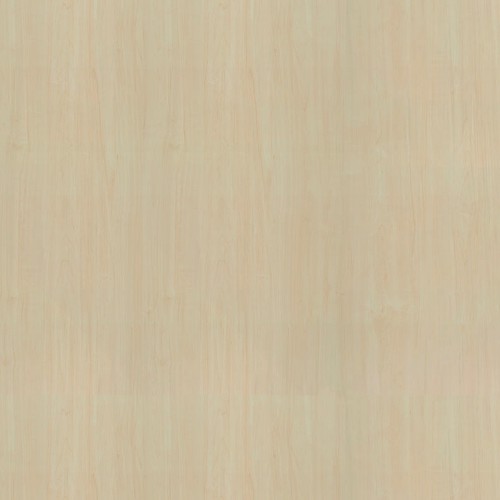 CR8905_丹麥楓木(山)