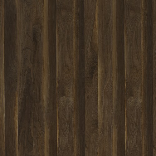 CR9479_原野胡桃木(山)