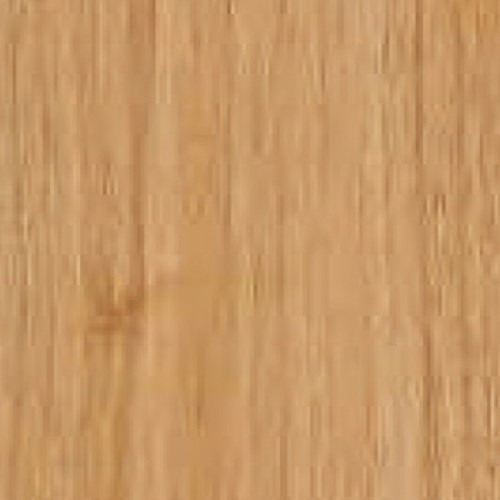 3645T-6_義大利胡桃(山)