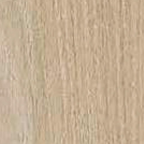 5473TG-6_地中海胡桃(山)