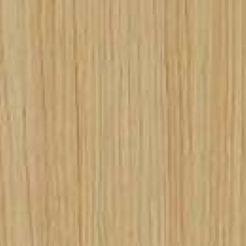 6009T-6_北美楓木(山)