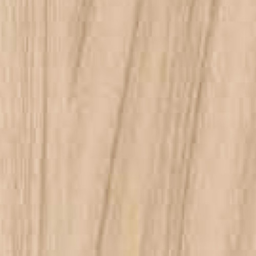 6861T-6_亞馬遜胡桃(直)