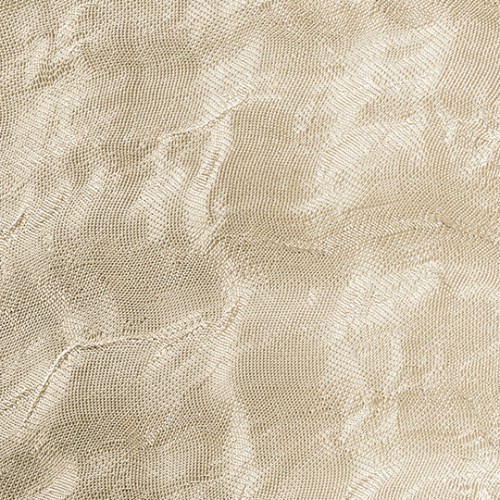 D4941_香檳金縷衣